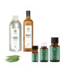 Eucalyptus Globulus Essential oil