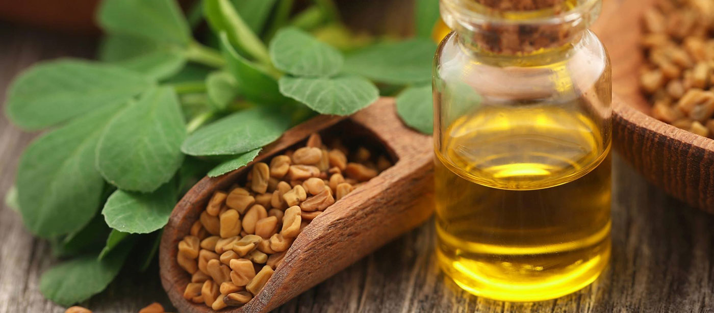 Cosmetic Fenugreek oil