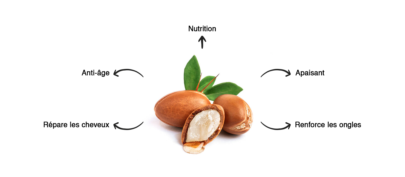 Prodigia - Article-1-Les-bienfaits-méconnus-de-l'huile-d'argan-en-cosmétique